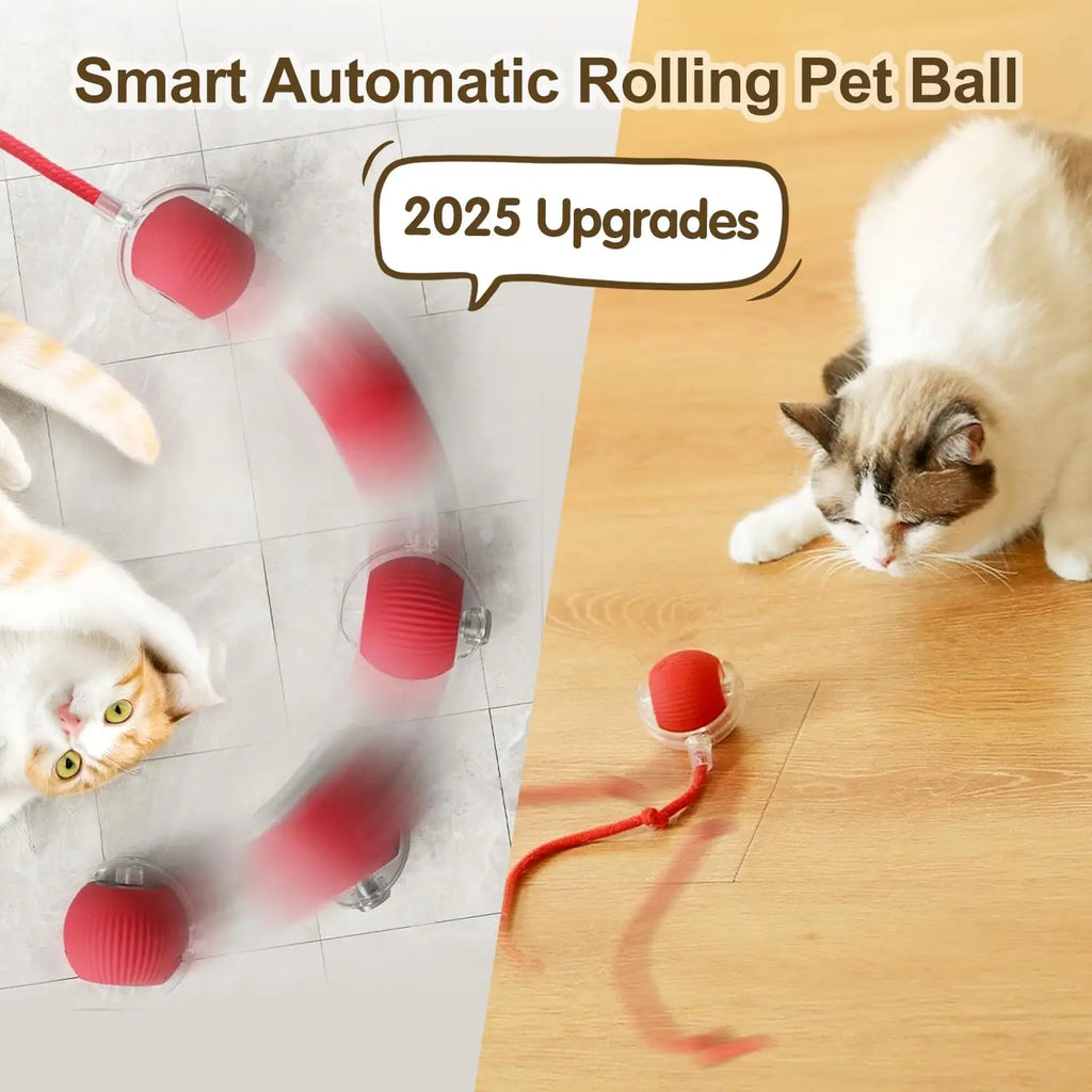 Interactive Rolling Cat Play Ball™